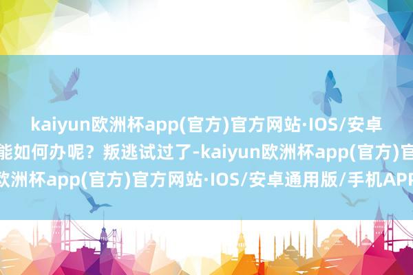 kaiyun欧洲杯app(官方)官方网站·IOS/安卓通用版/手机APP下载你能如何办呢？叛逃试过了-kaiyun欧洲杯app(官方)官方网站·IOS/安卓通用版/手机APP下载