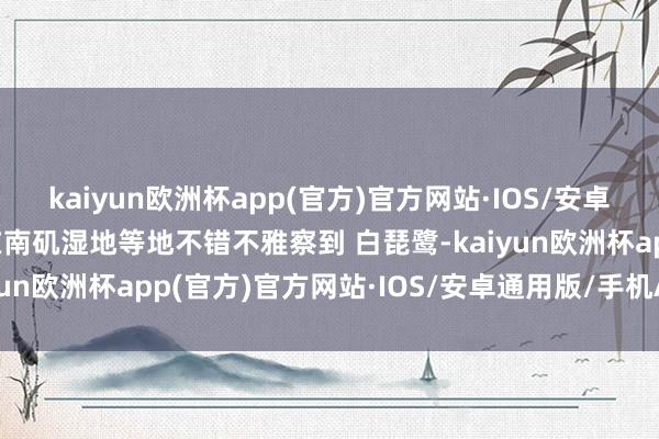 kaiyun欧洲杯app(官方)官方网站·IOS/安卓通用版/手机APP下载在南矶湿地等地不错不雅察到 白琵鹭-kaiyun欧洲杯app(官方)官方网站·IOS/安卓通用版/手机APP下载