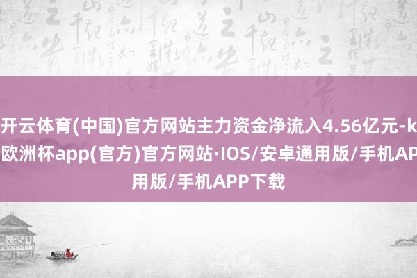 开云体育(中国)官方网站主力资金净流入4.56亿元-kaiyun欧洲杯app(官方)官方网站·IOS/安卓通用版/手机APP下载