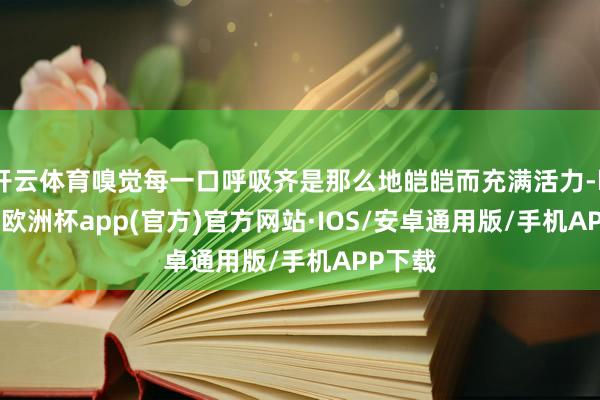 开云体育嗅觉每一口呼吸齐是那么地皑皑而充满活力-kaiyun欧洲杯app(官方)官方网站·IOS/安卓通用版/手机APP下载