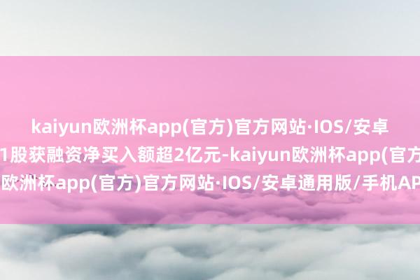 kaiyun欧洲杯app(官方)官方网站·IOS/安卓通用版/手机APP下载11股获融资净买入额超2亿元-kaiyun欧洲杯app(官方)官方网站·IOS/安卓通用版/手机APP下载