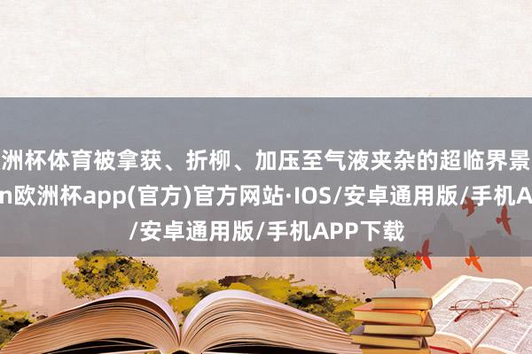 欧洲杯体育被拿获、折柳、加压至气液夹杂的超临界景况-kaiyun欧洲杯app(官方)官方网站·IOS/安卓通用版/手机APP下载