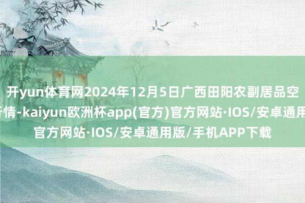 开yun体育网2024年12月5日广西田阳农副居品空洞批发市集价钱行情-kaiyun欧洲杯app(官方)官方网站·IOS/安卓通用版/手机APP下载