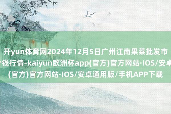 开yun体育网2024年12月5日广州江南果菜批发市集权谋处置有限公司价钱行情-kaiyun欧洲杯app(官方)官方网站·IOS/安卓通用版/手机APP下载