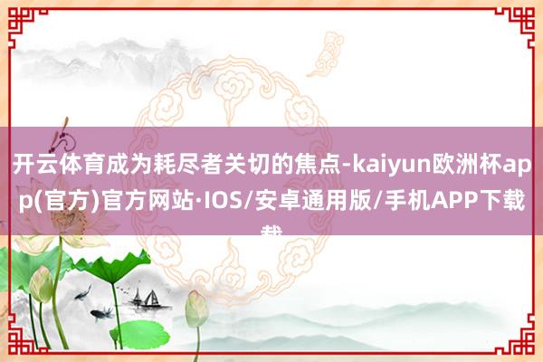 开云体育成为耗尽者关切的焦点-kaiyun欧洲杯app(官方)官方网站·IOS/安卓通用版/手机APP下载