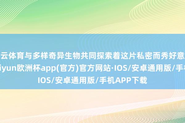 开云体育与多样奇异生物共同探索着这片私密而秀好意思的地皮-kaiyun欧洲杯app(官方)官方网站·IOS/安卓通用版/手机APP下载