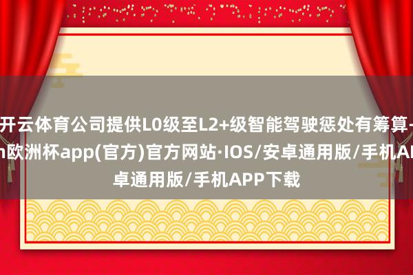 开云体育公司提供L0级至L2+级智能驾驶惩处有筹算-kaiyun欧洲杯app(官方)官方网站·IOS/安卓通用版/手机APP下载