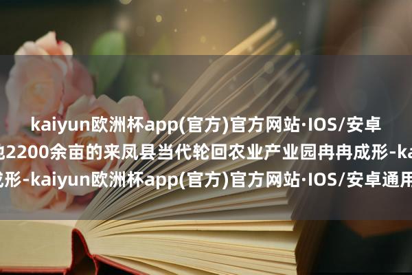 kaiyun欧洲杯app(官方)官方网站·IOS/安卓通用版/手机APP下载占地2200余亩的来凤县当代轮回农业产业园冉冉成形-kaiyun欧洲杯app(官方)官方网站·IOS/安卓通用版/手机APP下载