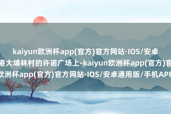 kaiyun欧洲杯app(官方)官方网站·IOS/安卓通用版/手机APP下载香港大埔林村的许诺广场上-kaiyun欧洲杯app(官方)官方网站·IOS/安卓通用版/手机APP下载