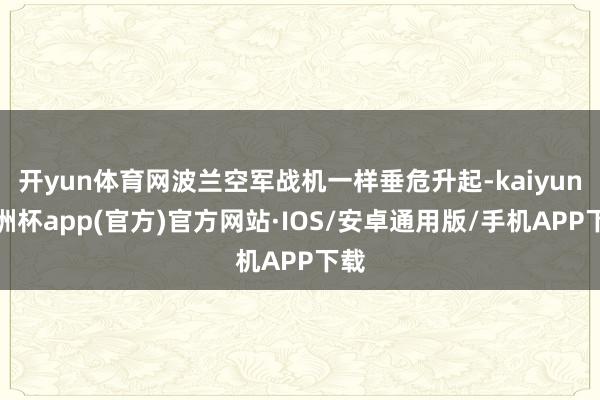 开yun体育网波兰空军战机一样垂危升起-kaiyun欧洲杯app(官方)官方网站·IOS/安卓通用版/手机APP下载