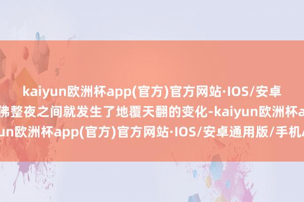 kaiyun欧洲杯app(官方)官方网站·IOS/安卓通用版/手机APP下载仿佛整夜之间就发生了地覆天翻的变化-kaiyun欧洲杯app(官方)官方网站·IOS/安卓通用版/手机APP下载