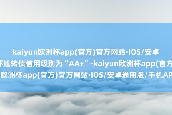 kaiyun欧洲杯app(官方)官方网站·IOS/安卓通用版/手机APP下载环旭转债信用级别为“AA+”-kaiyun欧洲杯app(官方)官方网站·IOS/安卓通用版/手机APP下载