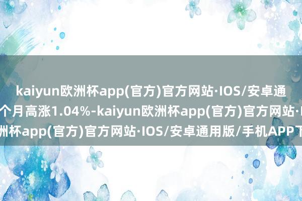 kaiyun欧洲杯app(官方)官方网站·IOS/安卓通用版/手机APP下载近3个月高涨1.04%-kaiyun欧洲杯app(官方)官方网站·IOS/安卓通用版/手机APP下载