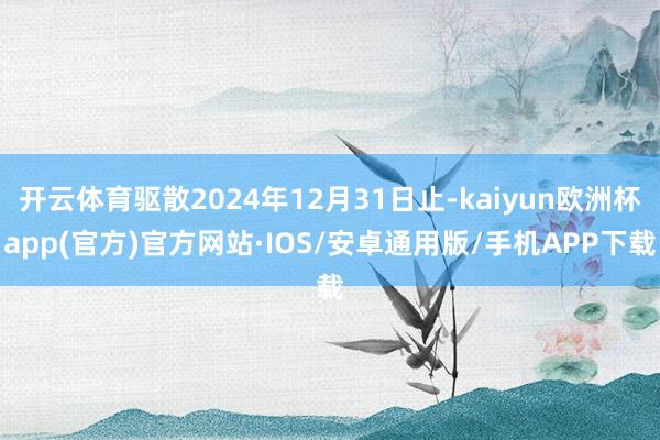 开云体育驱散2024年12月31日止-kaiyun欧洲杯app(官方)官方网站·IOS/安卓通用版/手机APP下载