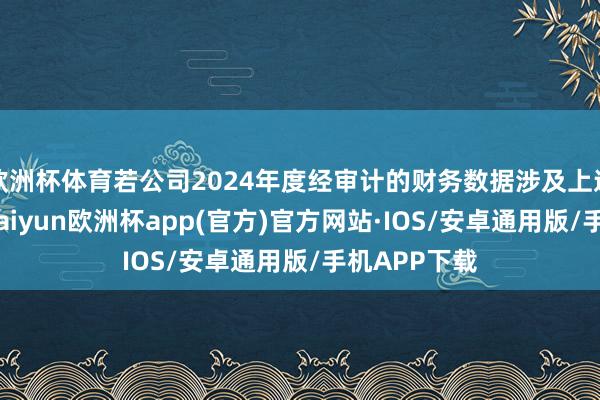 欧洲杯体育若公司2024年度经审计的财务数据涉及上述沟通情形-kaiyun欧洲杯app(官方)官方网站·IOS/安卓通用版/手机APP下载