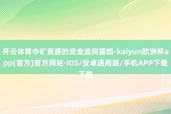 开云体育中矿资源的资金流向露馅-kaiyun欧洲杯app(官方)官方网站·IOS/安卓通用版/手机APP下载